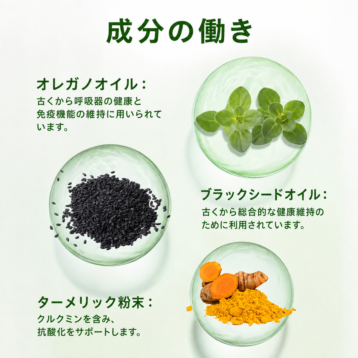 [免疫・腸内環境の健康] オレガノオイル・ソフトジェル