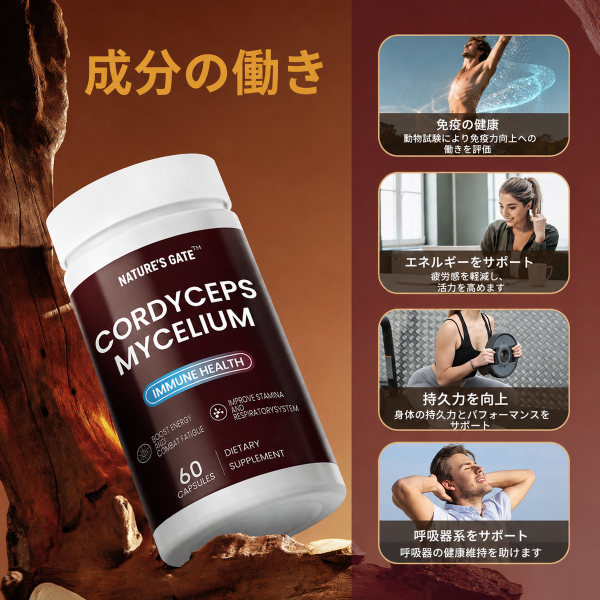 [免疫の健康] 冬虫夏草菌糸体カプセル