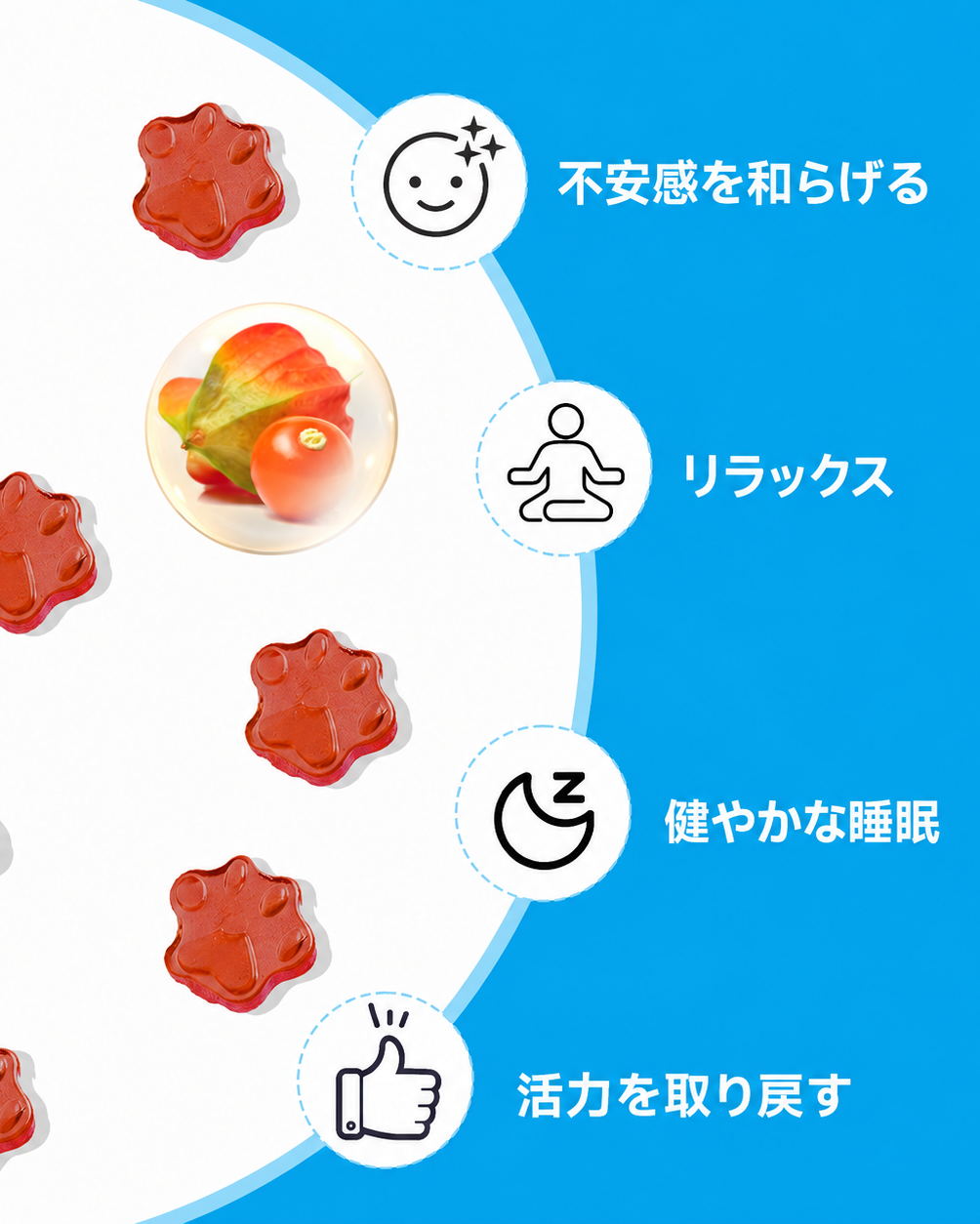 【感情調整】グローリーフ - アシュワガンダグミ（南アフリカのお菓子）