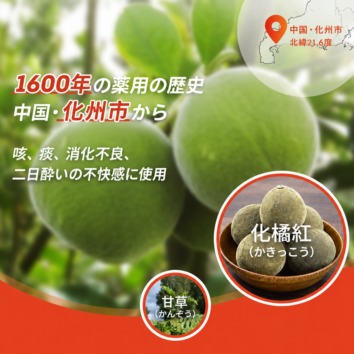 【喉を落ち着かせ、守る】みかんの皮入りソフトキャンディ