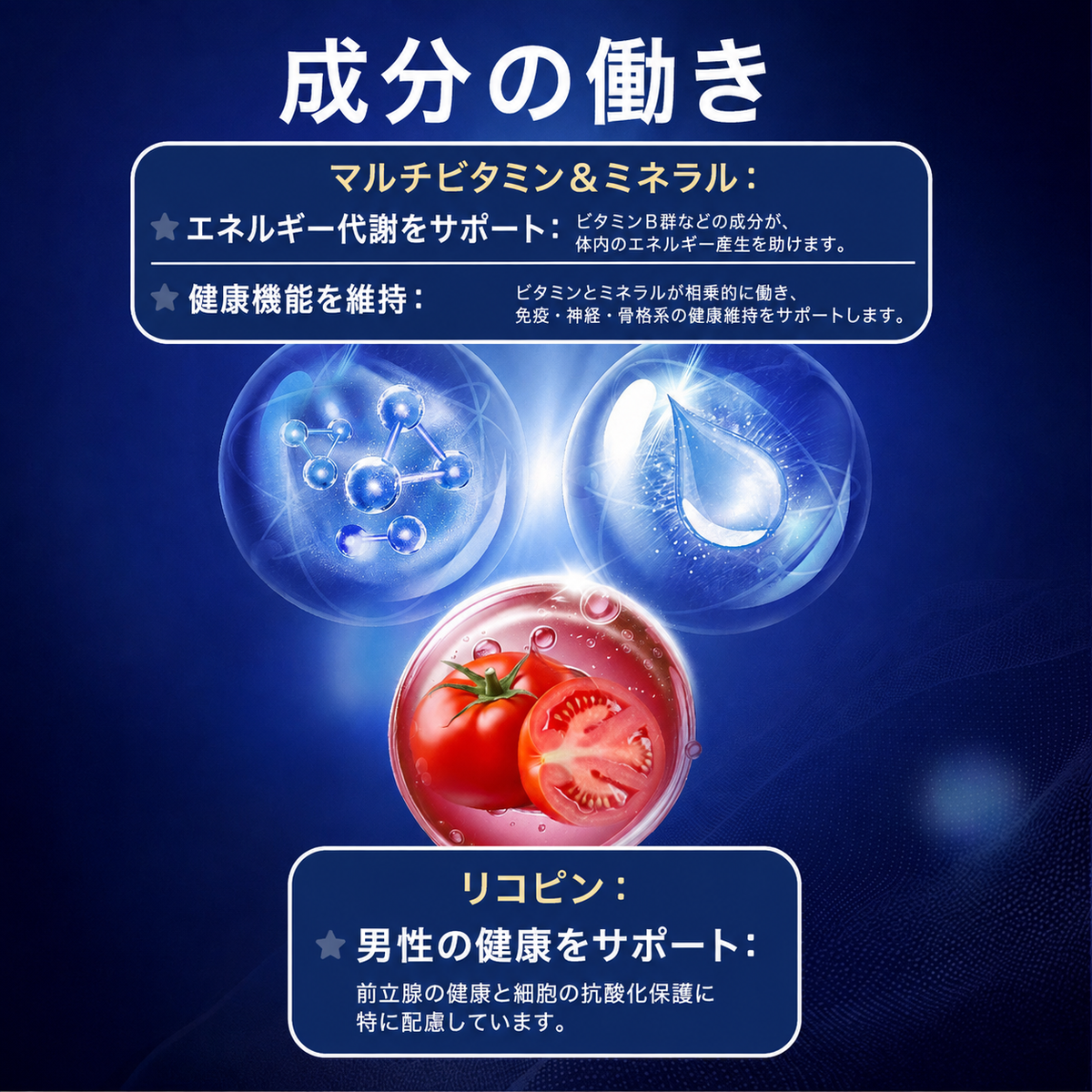 【男性向け総合栄養補給】NATURE'S GATE メンズ マルチビタミン 60錠