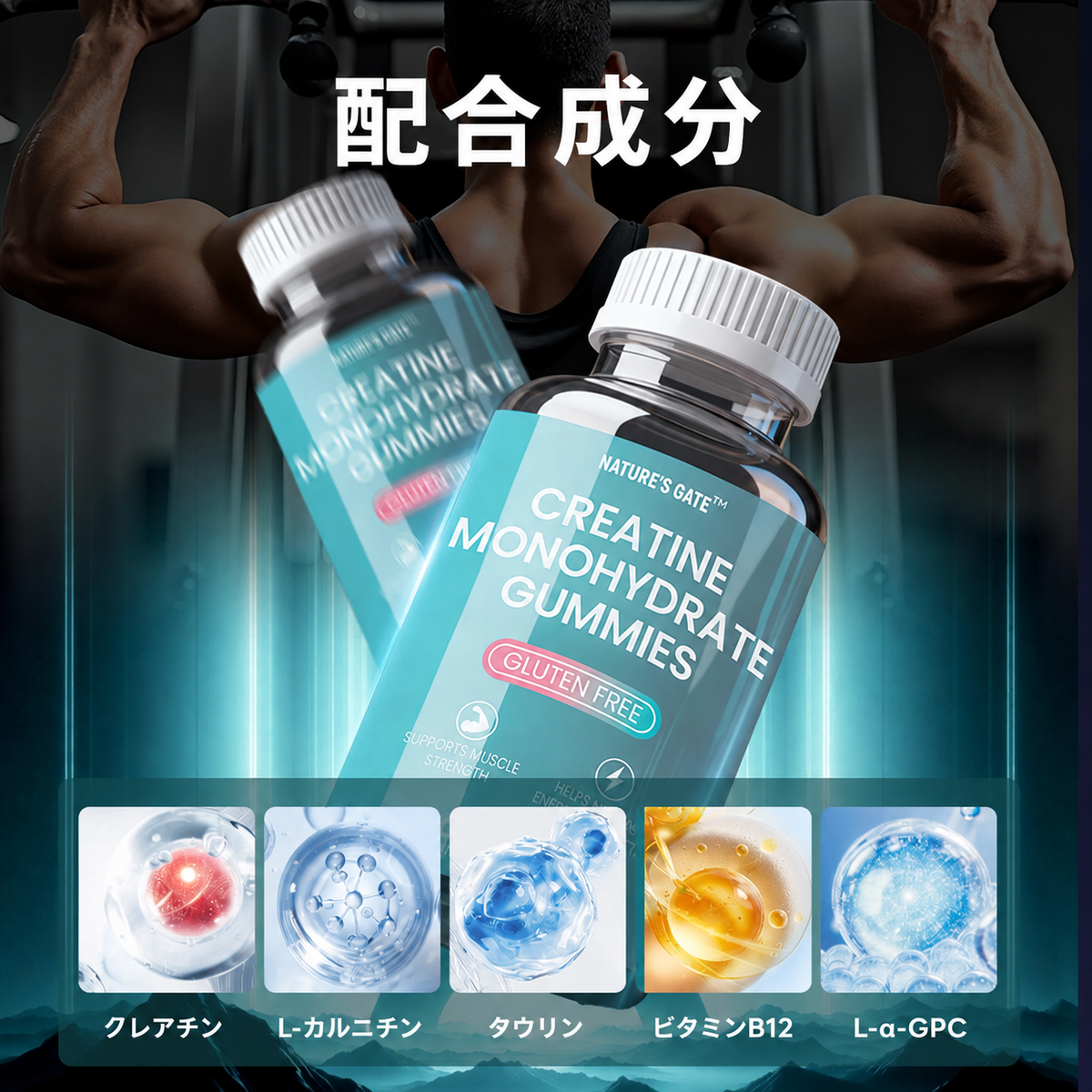 【クレアチンモノハイドレート配合グミ 】グルテンフリー 60粒入り 栄養補助食品