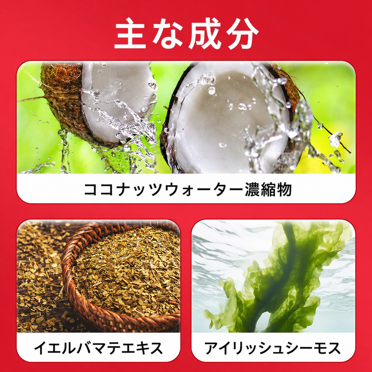 【水分・電解質補給】YEBRA MAGIC HYDRATION ストロベリー