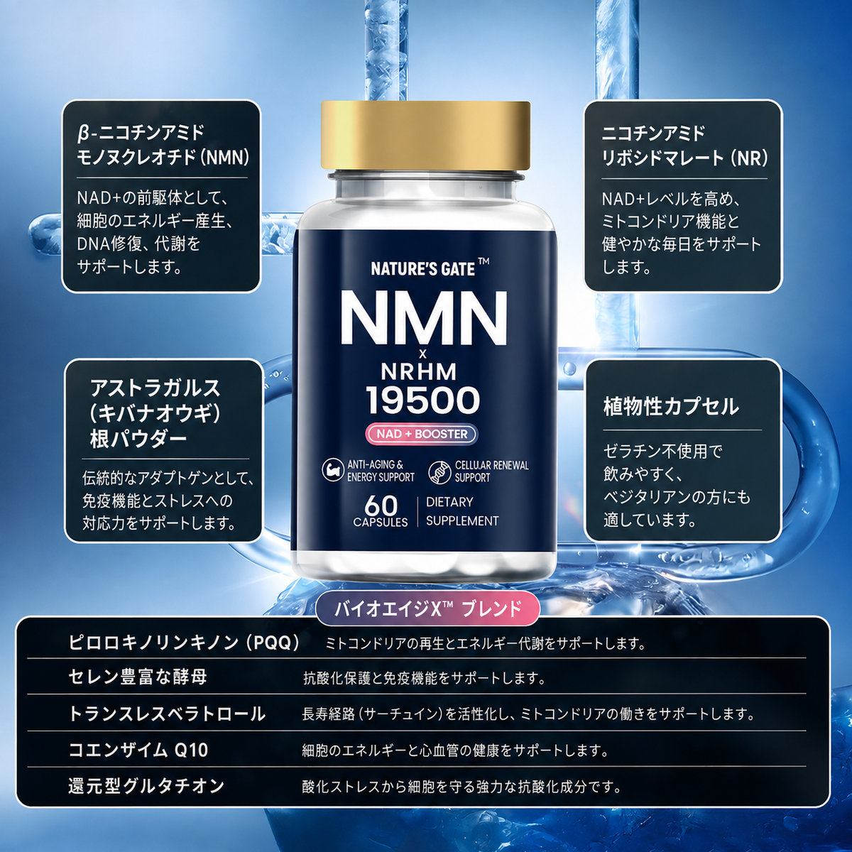 NMN X NRHM 19500 Capsules