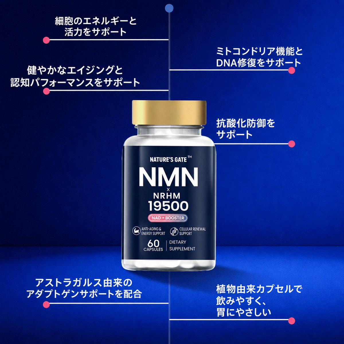 NMN X NRHM 19500 Capsules