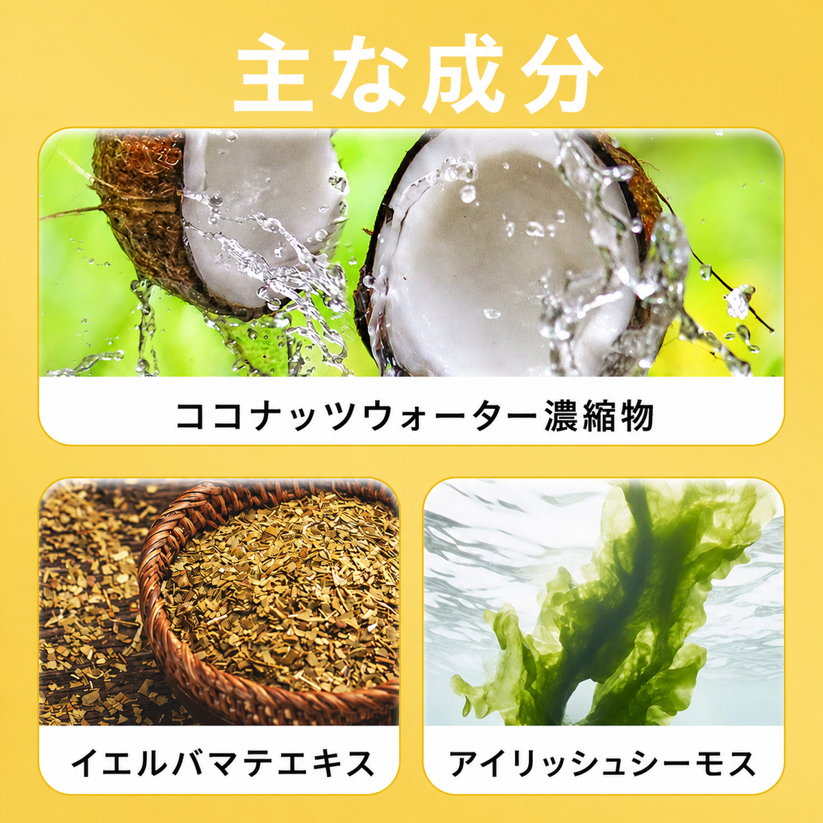 【電解質補給】ハイドレーションパウダー