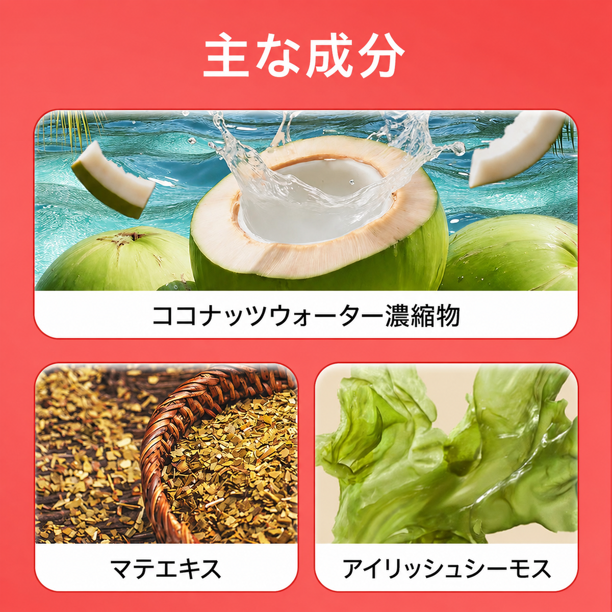 KOOVS YEBRA MAGIC HYDRATION ジューシーウォーターメロン味